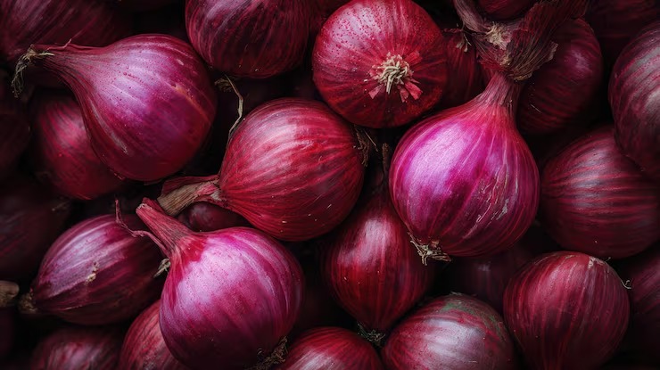 Agri India Seeds onion seed supplier Wadki Pune Maharashtra